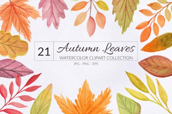 21 Autumn Leaf Watercolor Element & Illustrations