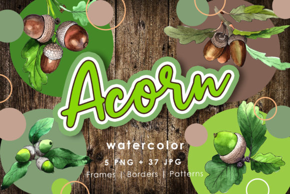 Acorn Plant Watercolor Set: Illustrations Review