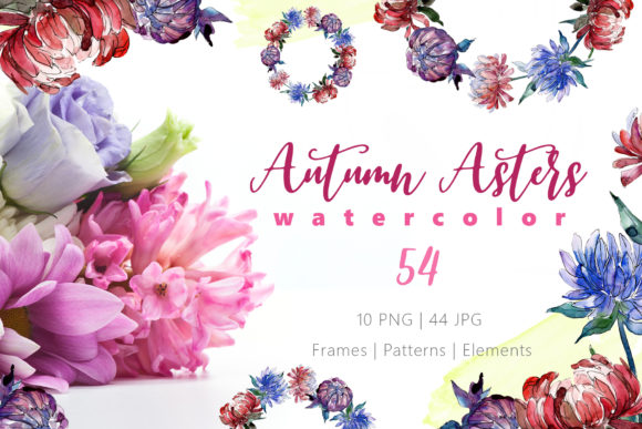 Autumn Asters Watercolor: Editorial Illustrations