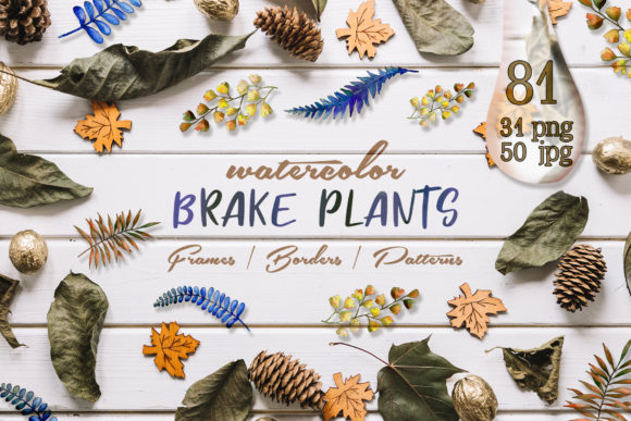 Brake Plants Watercolor Set: A Designer Review