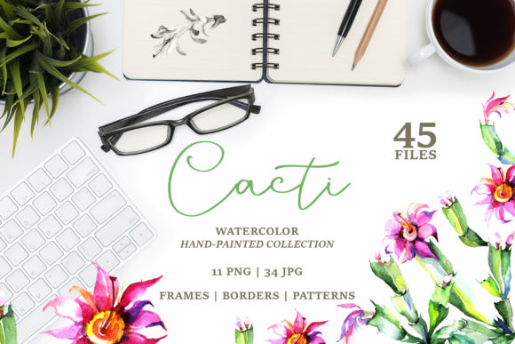 Cacti Watercolor Set: A Designer's Real-World Review