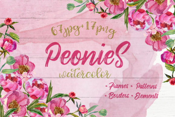 Cool Peonies Watercolor Flowers Set Review