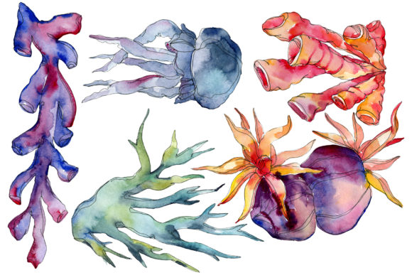 Corals Blue, Red and Green Watercolor Review
