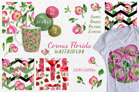 Cornus Florida Flowers Watercolor Set Illustrations
