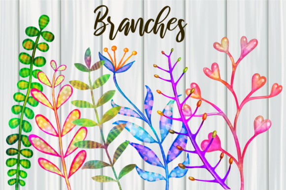 Decorative Watercolor Botanical Branches & Illustrations