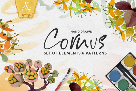 Dogwood Watercolor Illustrations for Branding