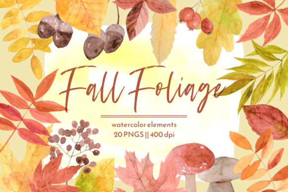 Fall Leaves Autumn Watercolor Graphics & Illustrations