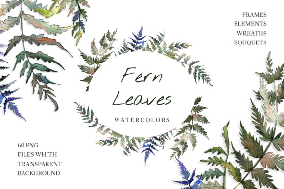 Fern Leaf Clipart Watercolor & Illustrations