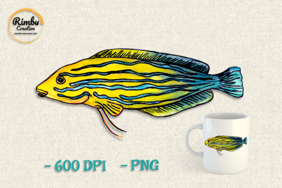 Fish Watercolor Clipart Sea Animal Review