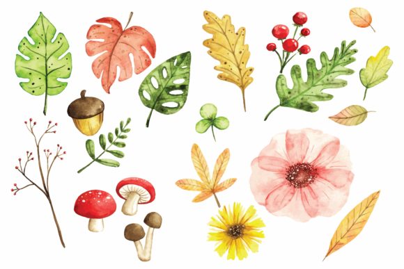 Floral Design Elements in Watercolor Illustrations
