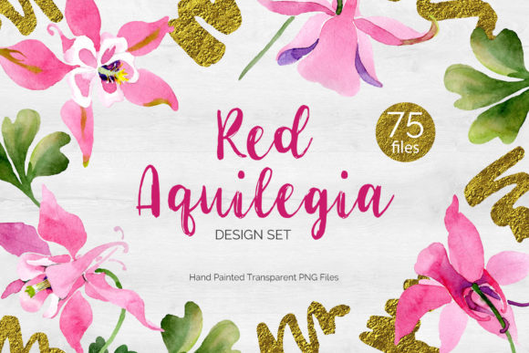 Flowers Aquilegia Red, Spring Watercolor Illustrations