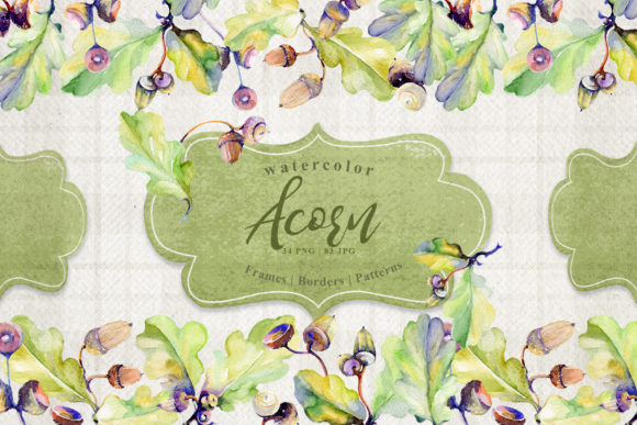 Forest Acorn Watercolor Set Illustrations Review