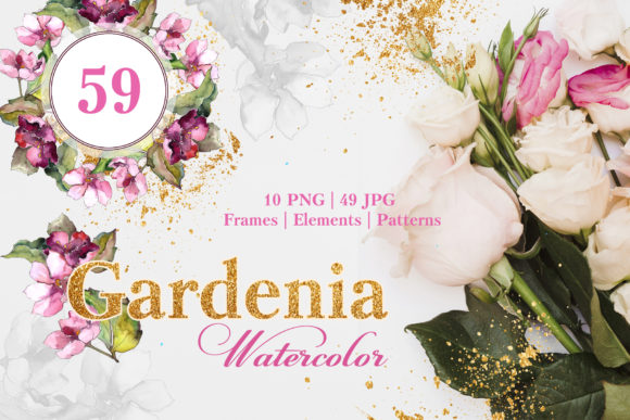 Gardenia Watercolor Illustrations Review