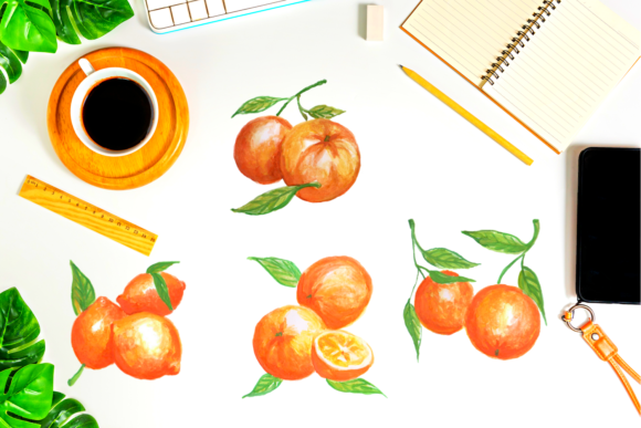 Hand Painted Watercolor Little Oranges Illustrations