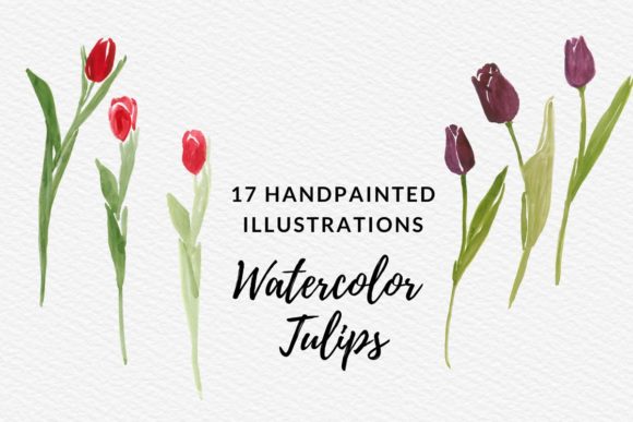 Hand Painted Watercolor Tulip Flowers Review