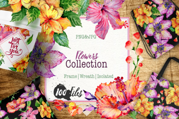 Hibiscus Watercolor Flower Set: Illustrations Review
