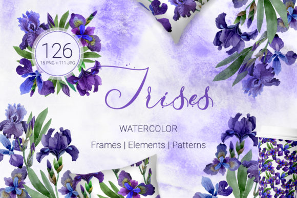 Irises Gentle Purple Watercolor Illustrations