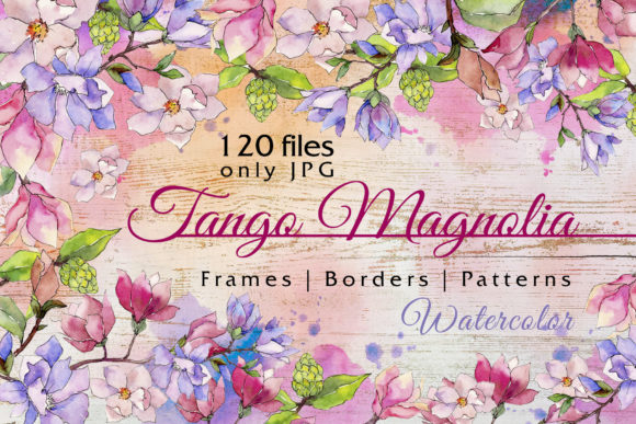 Jango Magnolia Watercolor Set & Illustrations