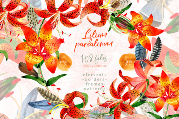 Lilium Pardalinum Watercolor Set Illustrations