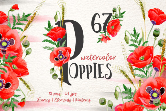 Magic Poppies Red Watercolor Illustrations Review