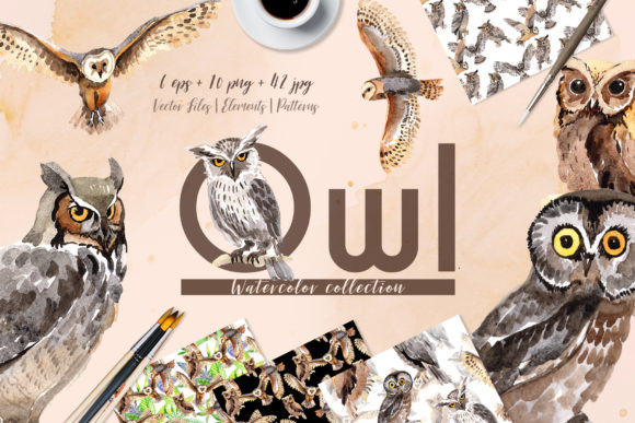 Owl Watercolor Illustrations for Local Brands