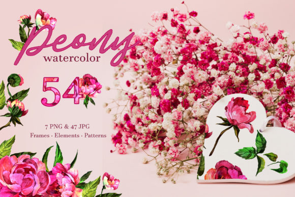 Peony Watercolor Illustrations Review