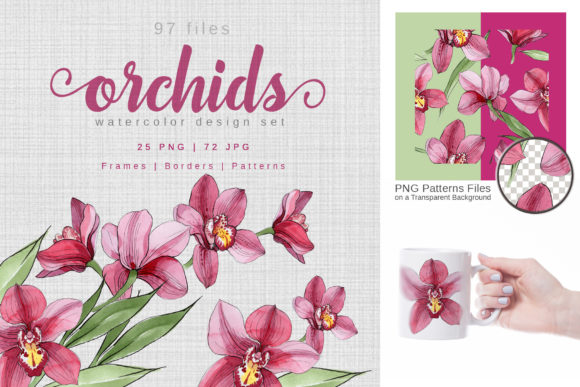 Pink Orchids Watercolor Illustrations Review