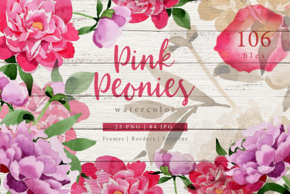Pink Peonies Watercolor Illustrations Review