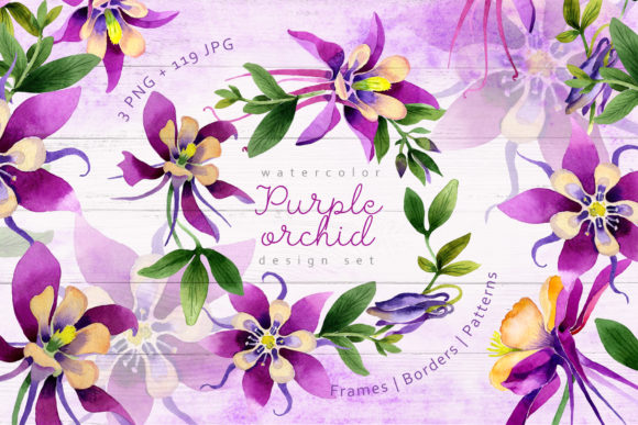 Purple Orchid Watercolor Set Illustrations