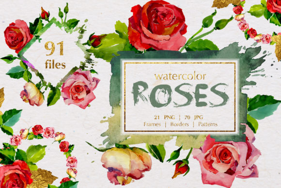 Roses Watercolor Scarlet: Premium Illustrations