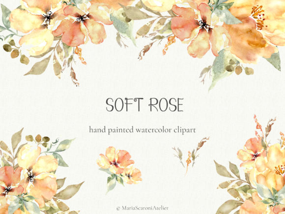 Soft Rose Watercolor Flowers Clipart Review