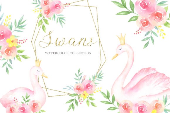 Swans Watercolor Collection: Elegant Illustrations