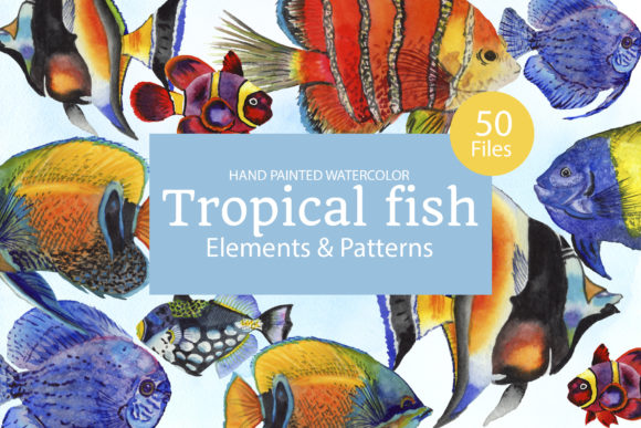 Tropical Fish Watercolor Illustrations Review