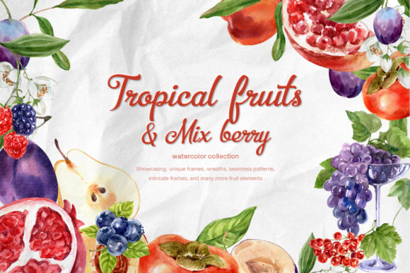 Tropical Fruits Mix-berry Watercolor Illustrations