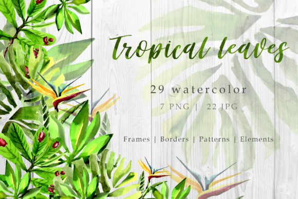 Tropical Leaves Watercolor Set Illustrations