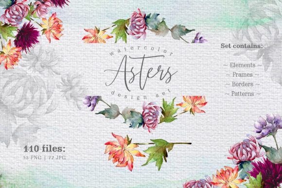 Watercolor Asters Design Set & Illustrations