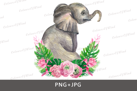 Watercolor Elephant T-shirt Transfer & Illustrations