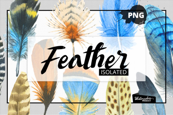 Watercolor Feather and Patterns Illustrations Review