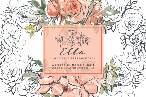 Watercolor Peach Outlined Floral Clipart & Illustrations