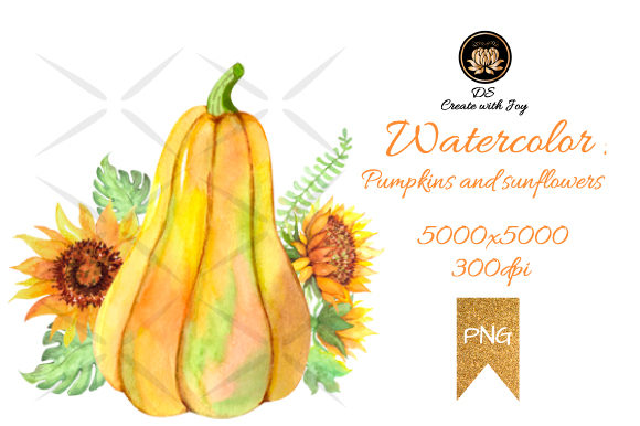 Watercolor Pumpkins Illustrations Review