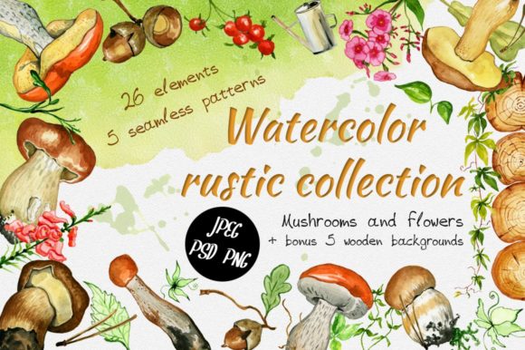 Watercolor Rustic Mushrooms: Brand Illustrations