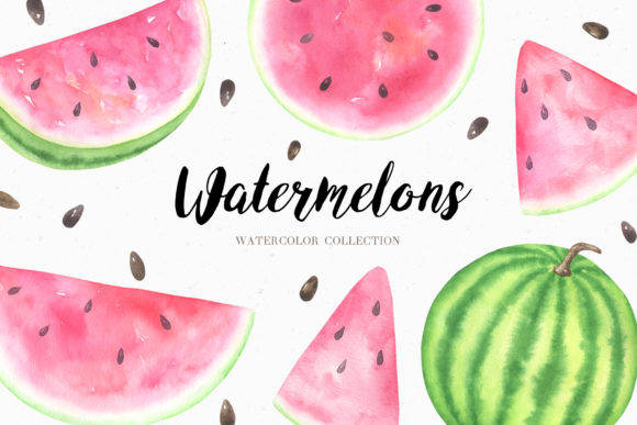Watercolor Watermelon Collection Illustrations
