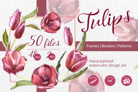 Wildflower Red Tulips Watercolor Set Illustrations