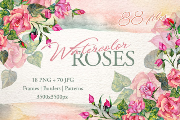 Wonderful Pink Roses Watercolor Set Review
