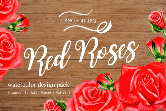 Wonderful Red Rose Illustrations Review
