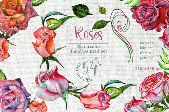 Wonderful Roses Watercolor Flower Set & Illustrations